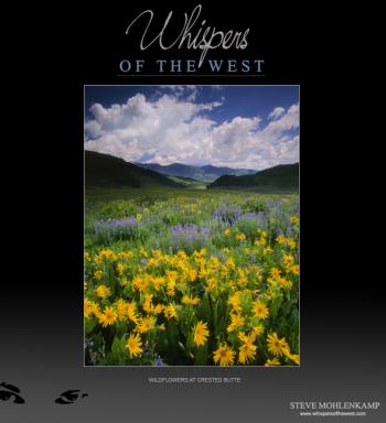 WILDFLOWERS AT CRESTED BUTTE